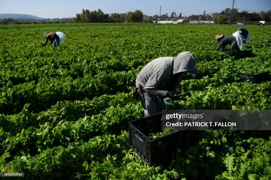 US-VIRUS-HEALTH-FOOD-AGRICULTURE