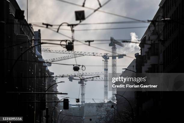 Cranes are pictured on February 10, 2021 in Berlin, Germany.