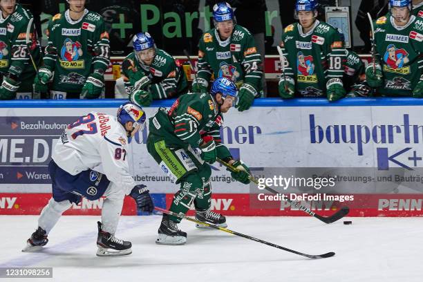 Philip Gogulla of EHC Red Bull Muenchen and Drew Le Blanc of Augsburger Panther battle for the puck during the DEL match between Augsburger Panther...