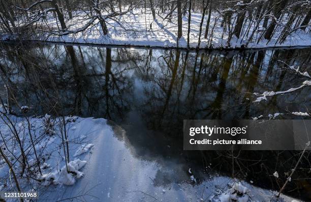 February 2021, Saxony-Anhalt, Halle : Trees on the snow-covered banks of the Mühlgraben are reflected in the water surface. Winter continues to have...