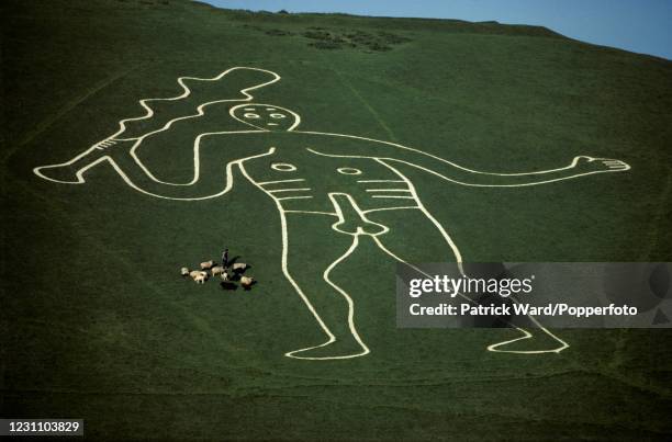 Shepherd and his flock approaching Cerne Abbas Man, a giant chalk-carved figure, in Dorset, England, circa May 1985. This image is from a series of...