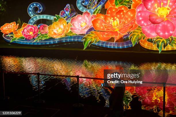 Man can be seen at a lantern display for River Hongbao festivity at the Gardens by the Bay, as part of the Lunar New Year celebration on February 11,...