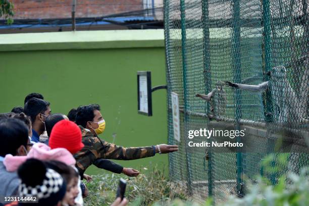 Nepalese people feeding animals at the Central Zoo in Lalitpur, Nepal on Saturday, February 13, 2021.