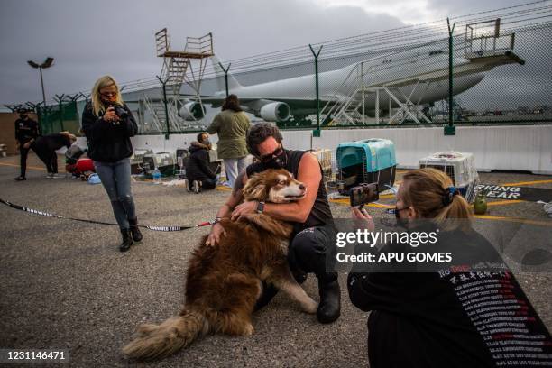 Jeffery Beri, the founder of "No Dogs Left Behind" hugs a dog while activists and volunteers transport a group of 29 rescued dogs after they arrived...