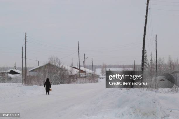 going home in frost and snow desert - bernard grua stock pictures, royalty-free photos & images