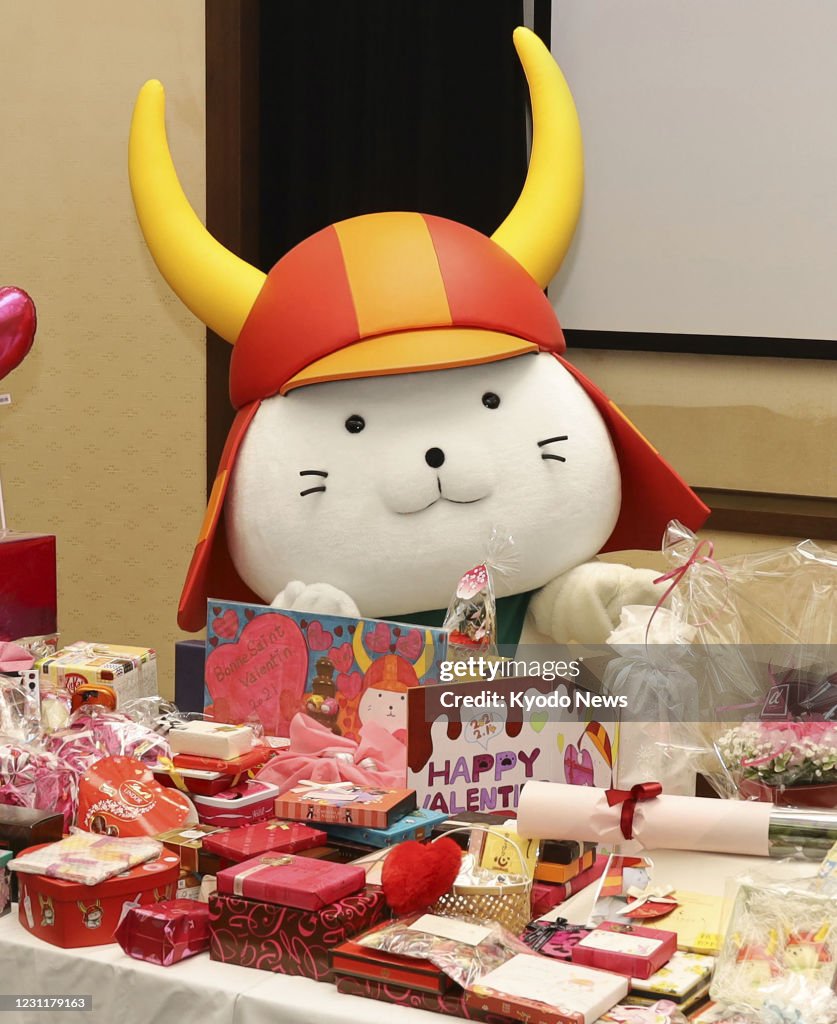 Valentine's Day gifts for Hikonyan