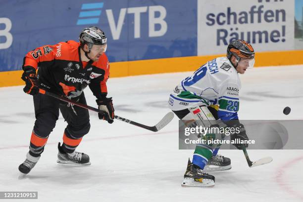 February 2021, Hessen, Frankfurt/Main: Ice hockey: DEL2, Löwen Frankfurt - Bietigheim Steelers, Hauptrunde, Matchday 19. Alexander Preibisch of the...