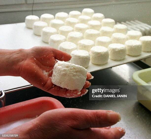 Opération de salage manuel, le 21 janvier, du crottin de Chavignol, chez un fromager-affineur de Sancerre. L'un des plus anciens et des plus connus...