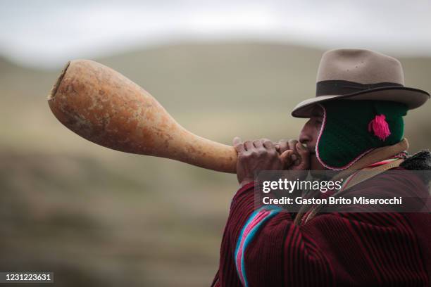 Pututu Photos and Premium High Res Pictures - Getty Images