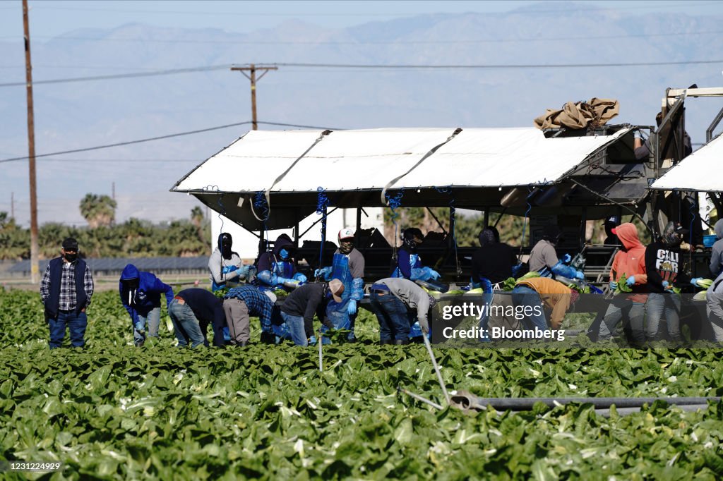 Farm Workers Receive Covid-19 Vaccinations