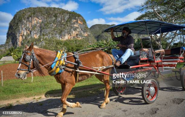 Yusmani Garcia, a blacksmith and tour guide, rides in his horse carriage in Vinales, Cuba, on January 28, 2021. - At the foot of the majestic rock...