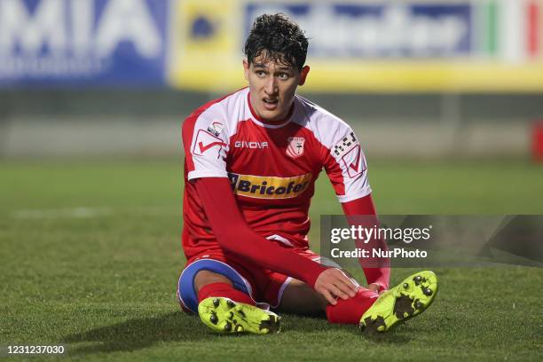 61 Michael Venturi Photos & High Res Pictures Getty Images