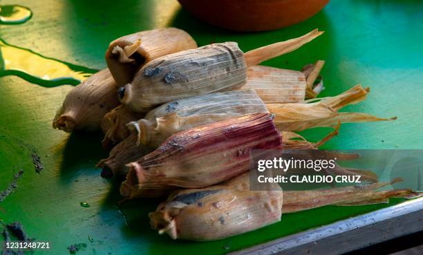 View of tamales -traditional Mexican food- at the kitchen of the collective Mujeres de la Tierra, in Milpa Alta, Mexico City, on February 16, 2021. -...