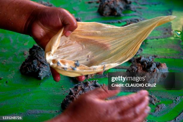 Alma, a member of the collective Mujeres de la Tierra, prepares tamales -traditional Mexican food-, in Milpa Alta, Mexico City, on February 16, 2021....