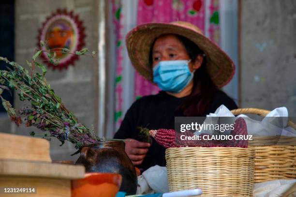Alma, a member of the collective Mujeres de la Tierra, works in the kitchen, in Milpa Alta, Mexico City, on February 16, 2021. - The collective...