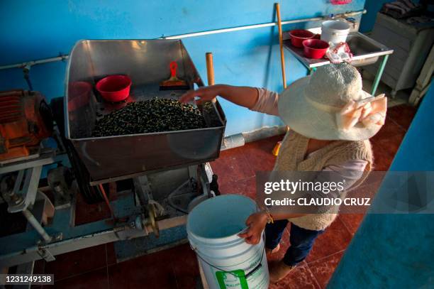 Ana, a member of the collective Mujeres de la Tierra, grinds corn at a neighborhood mill, in Milpa Alta, Mexico City, on February 16, 2021. - The...