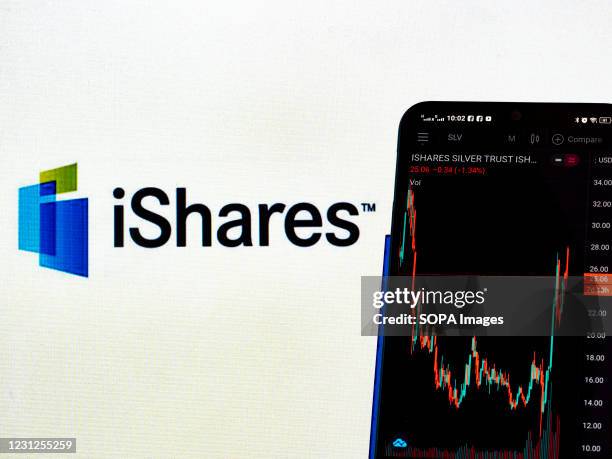 Ishares Icon 13 Silver Etf Stock Photos, High-Res Pictures, and Images - Getty Images