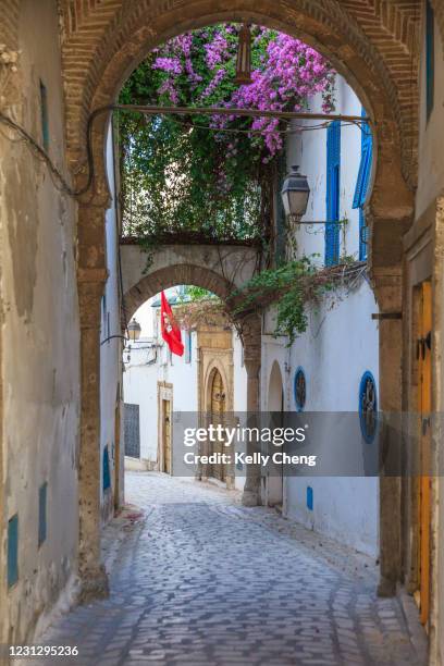 alley in the medina of tunis - medina stock pictures, royalty-free photos & images