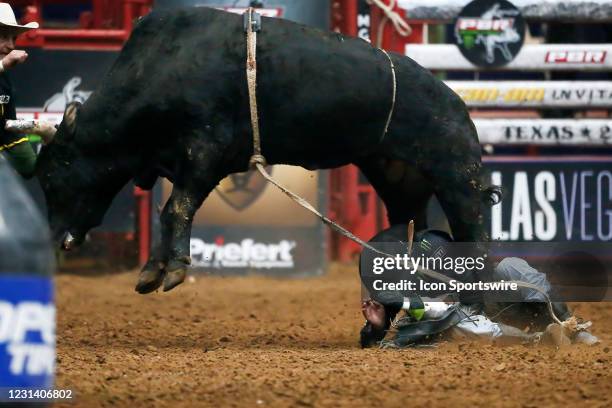 Bull Rider Stomped 740 Fort Worth Rodeo Stock Photos, High-Res Pictures, and Images ...