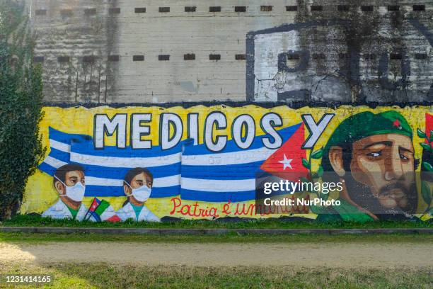 Mural created in the Parco Dora to thank the doctors of the Cuban medical brigade Henry Reeve, operating in Turin during the first wave of the...