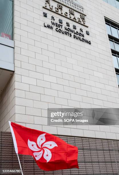 Pro-government supporter waves Hong Kong flag outside West Kowloon court building. 47 pro-democracy activists charged with conspiracy to subvert...