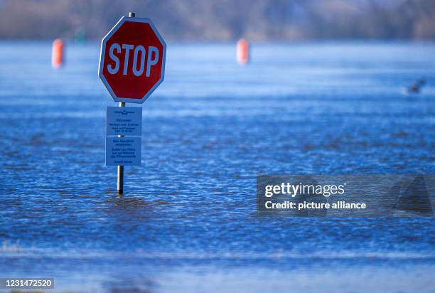 March 2021, Lower Saxony, Darchau: The ferry dock for normal water levels on the Elbe is under water, only a stop sign still looks out. Even if the...