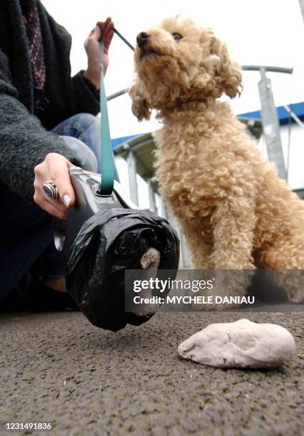 Le Roumain Remus Cioboloc présente, le 15 décembre 2005 à Falaise, sous le regard du caniche Praline, son invention qui devrait contribuer à la...