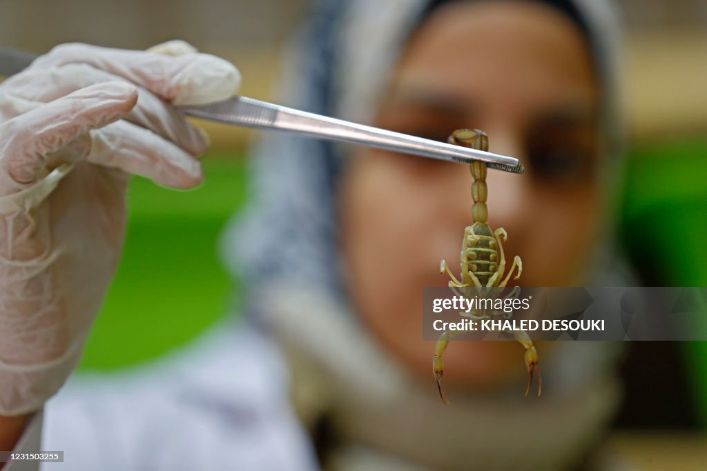 EGYPT-HEALTH-ENVIRONMENT-DESERT