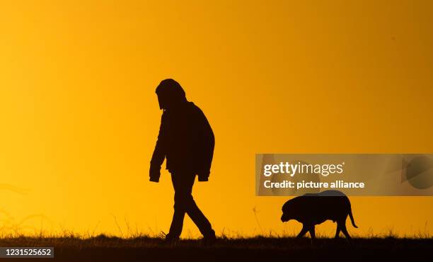 March 2021, Lower Saxony, Hanover: A man walks a dog along a country lane at sunrise. Photo: Julian Stratenschulte/dpa