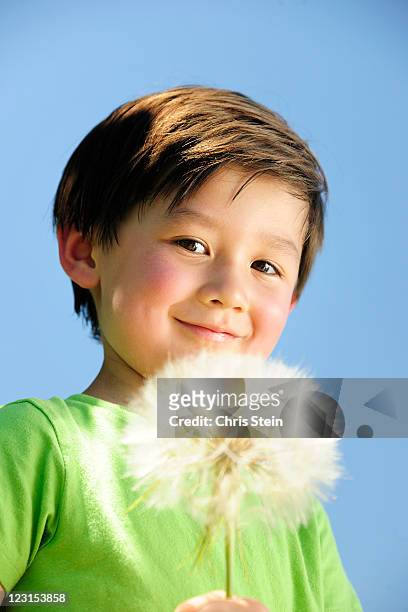 boy with big dandelion - alleen jongens stockfoto's en -beelden