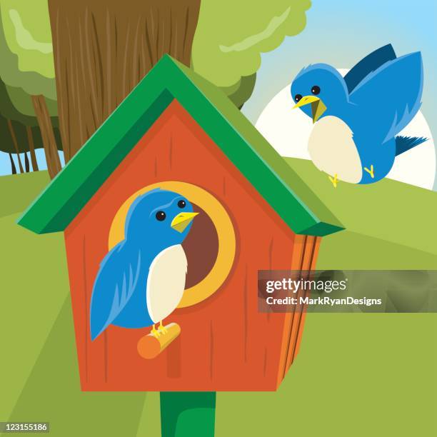learning to fly - puberty stages stock illustrations