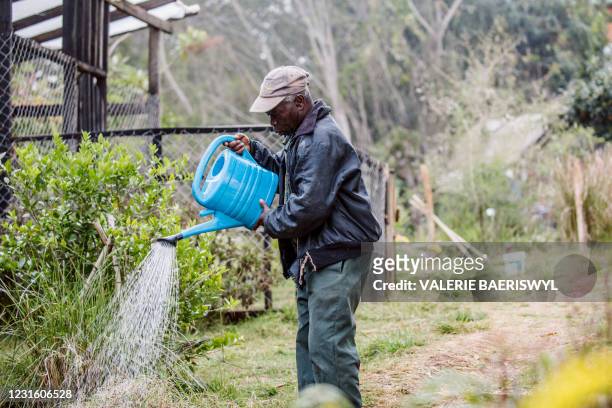 Man works at the Wynne farm garden in Kenskoff, Haiti, on March 5, 2021. - With her long white hair tied in a braid over her shoulder, Jane Wynne...