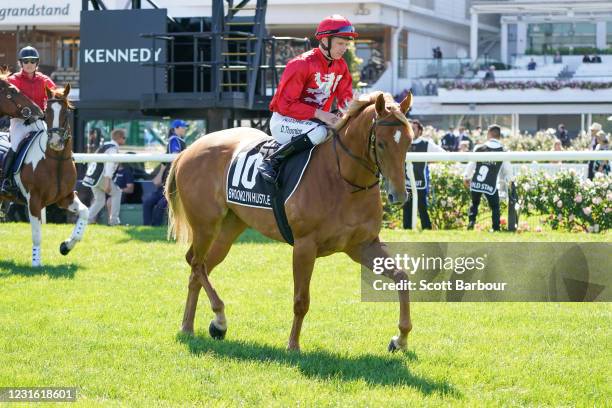 Brooklyn Hustle ridden by Damien Thornton on the way to the barriers prior to the running of the Seppelt Wines Newmarket Handicap at Flemington...