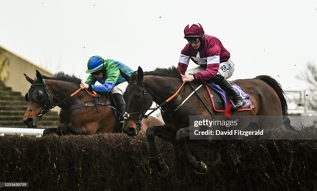 Horse Racing from Wexford