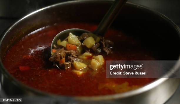 Toronto, ON- March 10 - The Hungarian goulash. Country Style, the Hungarian restaurant operating since the early 60s in the Annex that's the last...