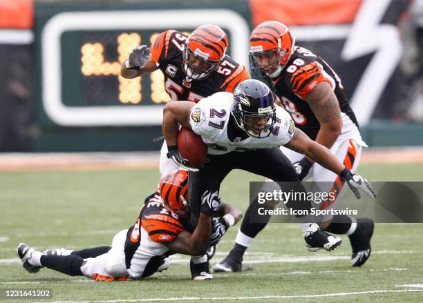 45 Cincinnati Bengals Marvin White Stock Photos, High-Res Pictures, and ...