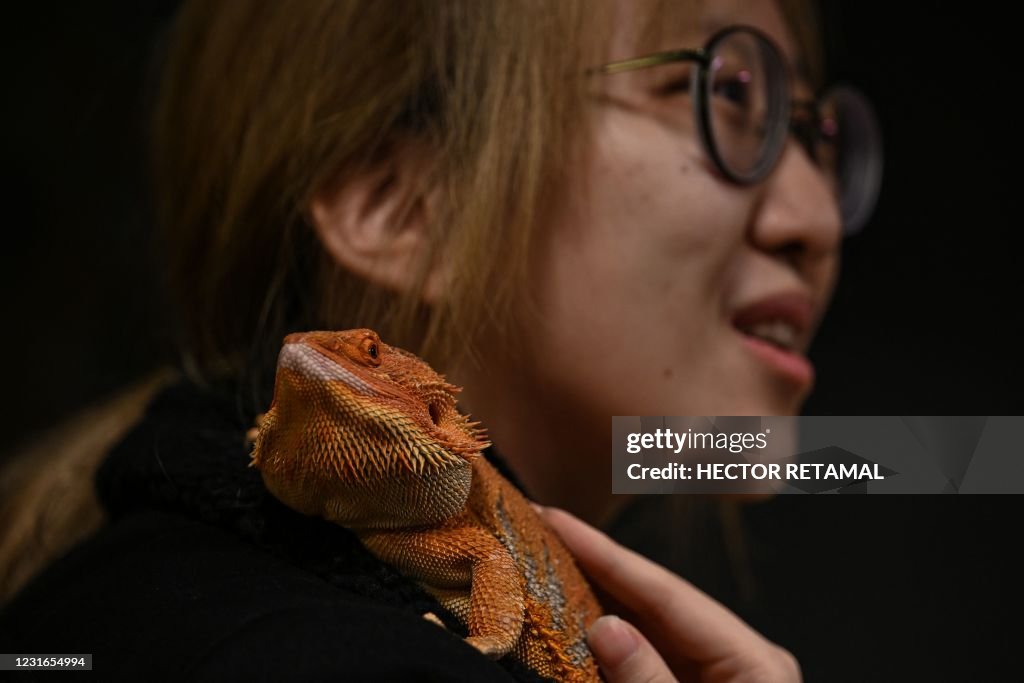 CHINA-LIFESTYLE-ANIMAL