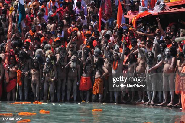 Naga Sadhus or holy man of Niranjani Akhara prepares to take a holy dip in Ganges River on the occasion of first royal bath of Shivratri festival...