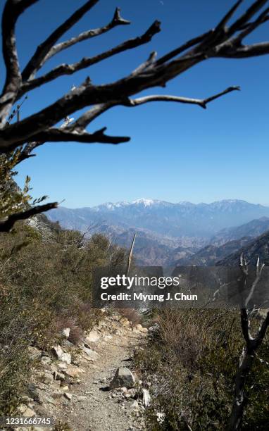 View of snow-covered Mt. Baldy from the San Gabriel Peak Trail. Multiple peaks can be hiked from Eaton Saddle but currently the entrance to Mt....