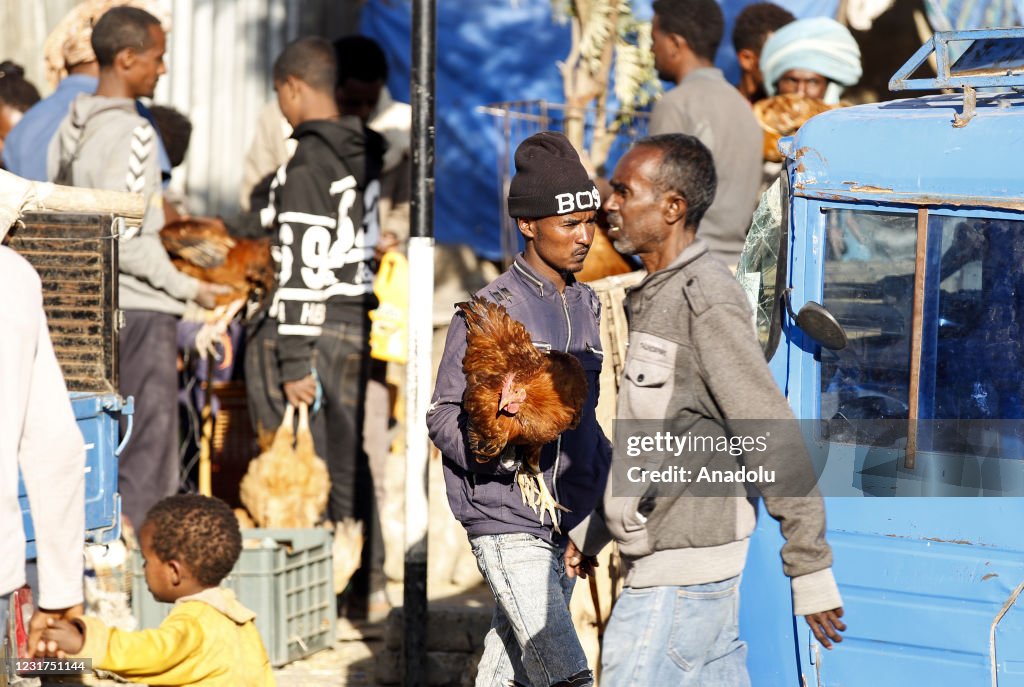 Daily life in Tigray