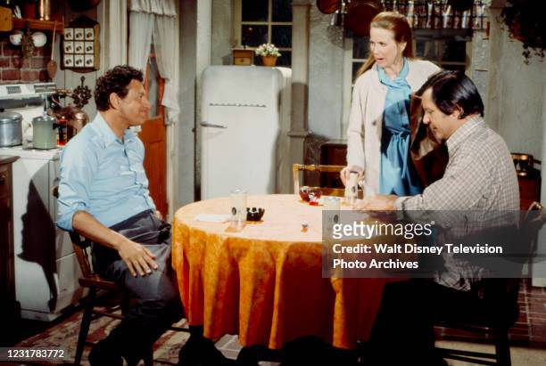 David Ketchum, Julie Harris, Robert Long appearing in the ABC tv series 'Thicker Than Water', episode 'The Jerk Who Came To Dinner'.