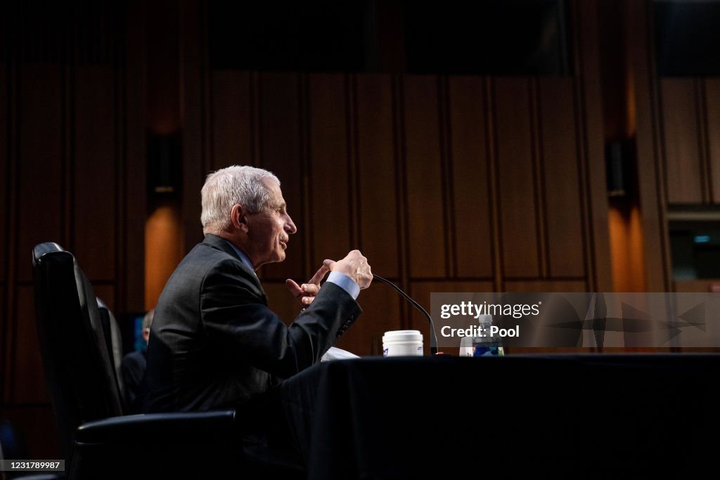 Dr. Fauci Testifies Before Senate Committee On Federal Response To COVID-19