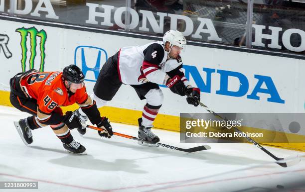 Niklas Hjalmarsson of the Arizona Coyotes and Isac Lundestrom of the Anaheim Ducks skate against each other behind the net during the third period of...