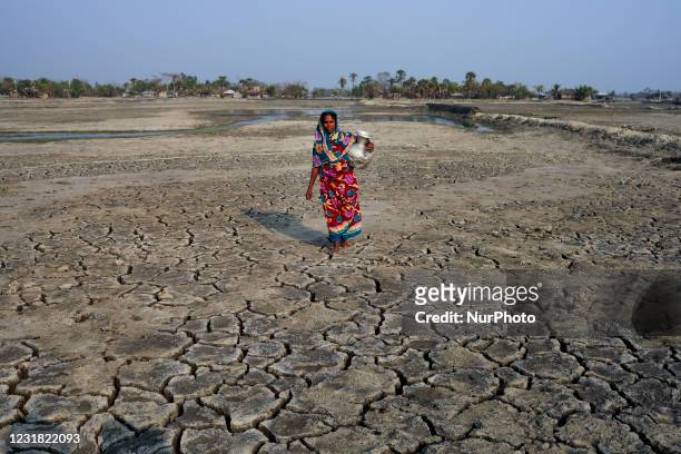 Woman is collecting drinking water, Salinity effect seen in soil as a result trees has died after Cyclone amphan hit in Satkhira, Bangladesh on March...