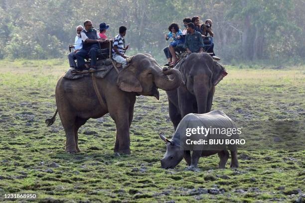 Tourists take pictures of a one horned Rhino during elephant safari at the Kaziranga National Park in Indias northeastern state of Assam on March 22,...