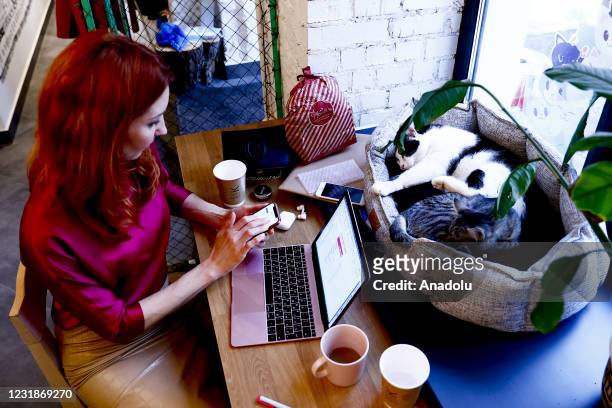Woman works at a joint office called "Cat Office" opened by the City Animal Protection Foundation, which has implemented various projects for...