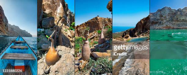 This combination of pictures taken during February 2021 in the Yemeni Island of Socotra, a site of global importance for biodiversity conservation,...