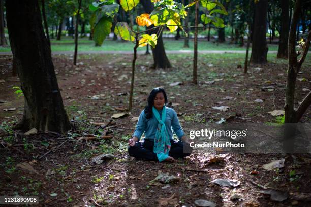 43 Gelora Bung Karno Sports Complex Stock Photos, HighRes Pictures