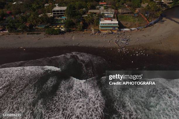 Aerial view as surfers enter the ocean during a homage to late surfer Katherine Diaz at El Tunco beach on March 23, 2021 in Tamanique, El Salvador.