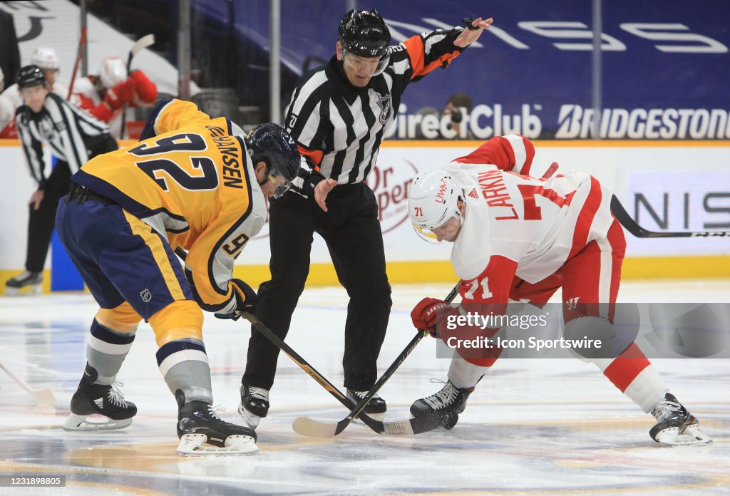 NHL: MAR 23 Red Wings at Predators